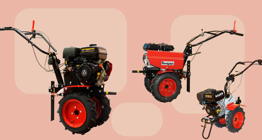 Як саме вибрати та якого фермера придбати?